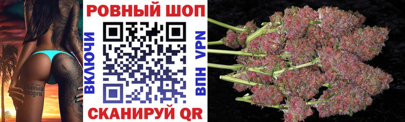Как найти закладки Ельня Cocaine  Меф мяу мяу  ГАШ  OMG сайт  Канабис 