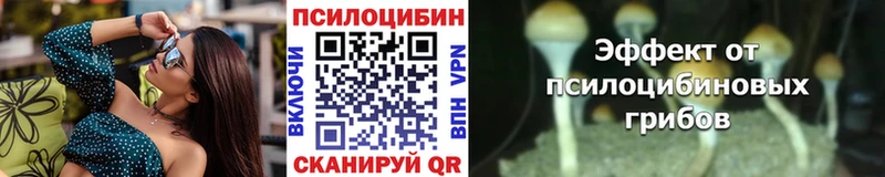 Псилоцибиновые грибы ЛСД  цены   Ельня 